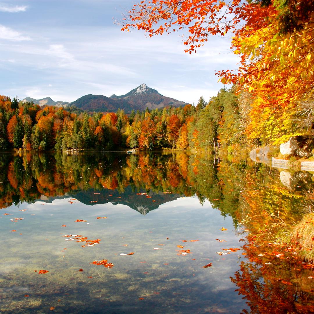  Autumnal Foliage Coach Tours | Roberts Holidays