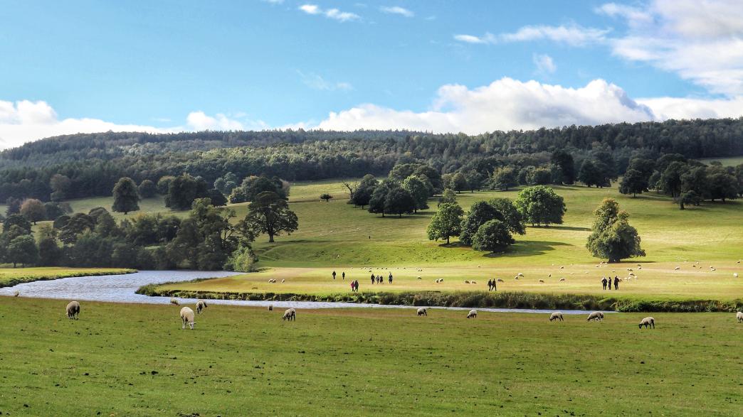 Chatsworth House Country Fair